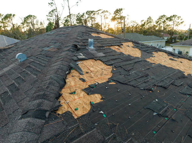 Best Gutter Installation and Repair  in Farmland, IN