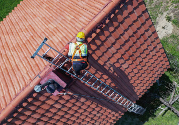 Best Chimney Flashing Repair  in Farmland, IN